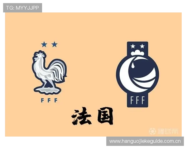 世界杯挪威法国国旗设计演变过程及其在比赛中的象征作用分析